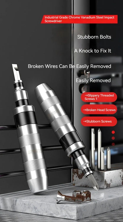 Cacciavite a Percussione Professionale con Punte