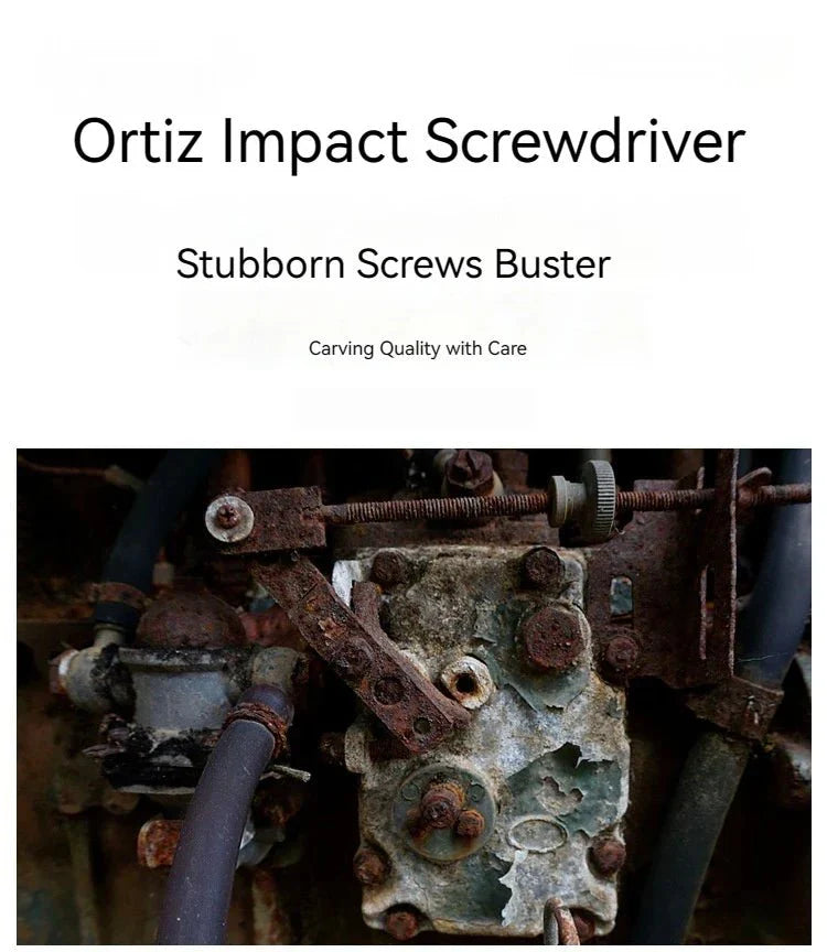 Cacciavite a Percussione Professionale con Punte