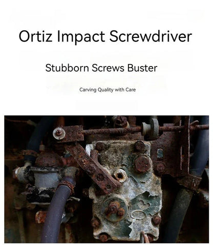 Cacciavite a Percussione Professionale con Punte