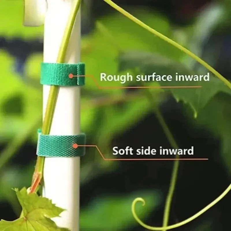 Fasce da Giardino Riutilizzabili